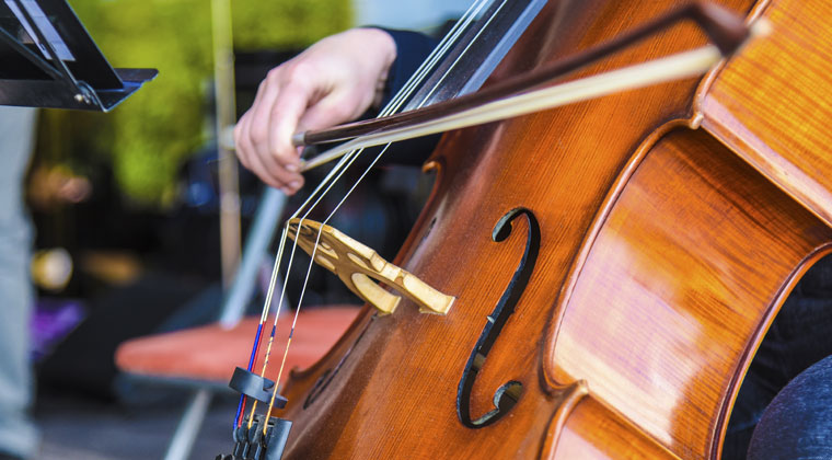 买一把普通的大提琴需要多少钱？
