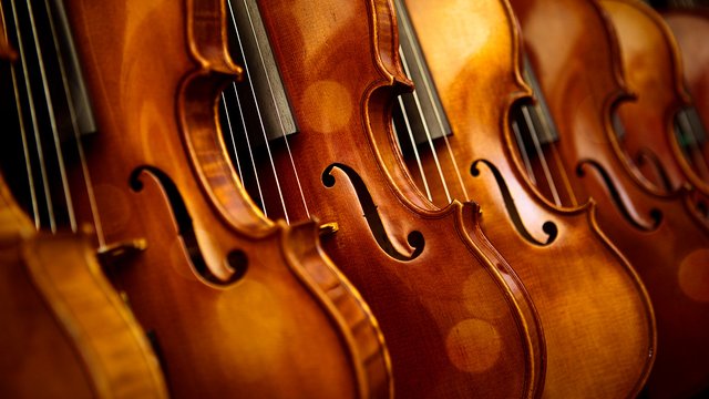 通过不同渠道购买小提琴，价格有什么不同？