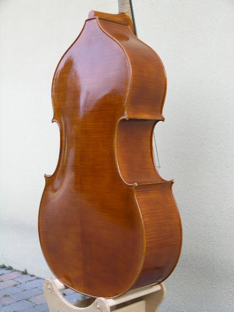 低音提琴