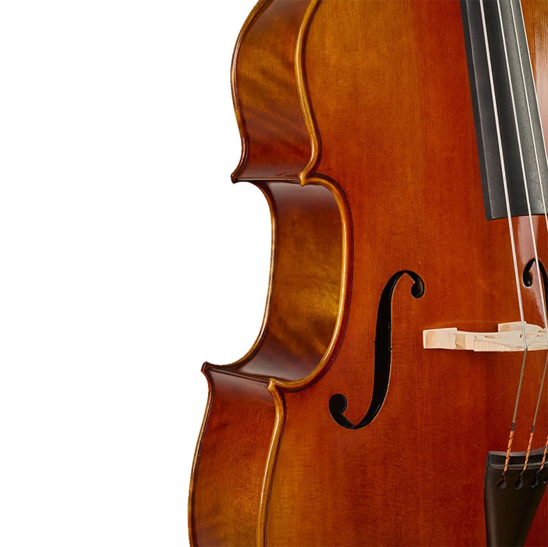 棕色仿古低音提琴