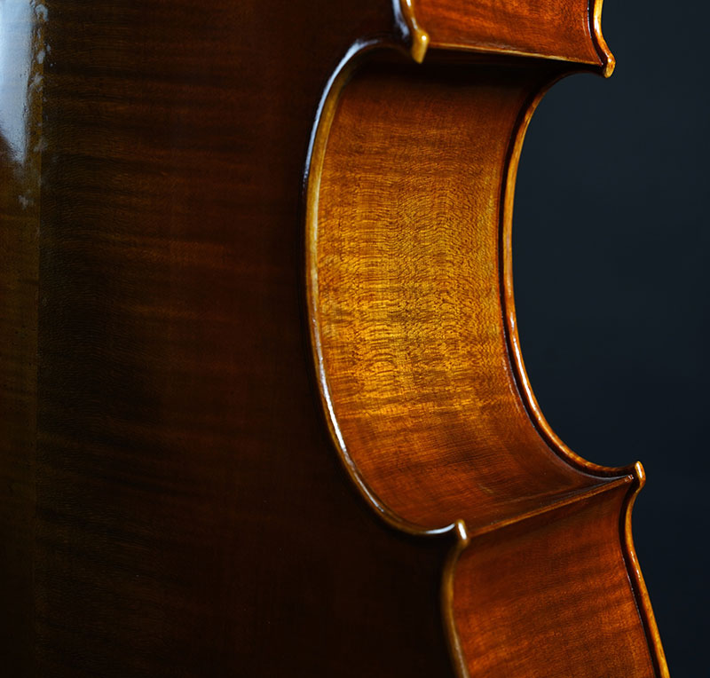 考级专用大提琴欧料